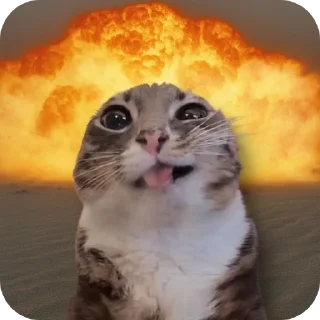 Video sticker 🐱 Гумно