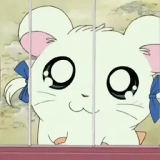 Video sticker 🐹 - ᗷY @ahMshY 𓉮 . Hamtaro