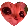 Sticker 🤩 kitties love 💕 ...