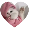 Sticker 🤩 kitties love 💕 @iamnotportman
