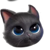 Video sticker 😎 Emoji @Token_1win