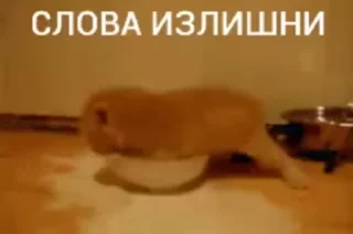 Телеграм стикер 🥛 Больше стиков тут: @stikery4