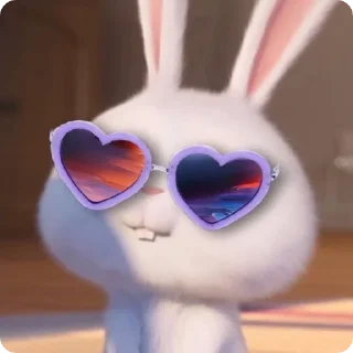 Video sticker 😎 ارنب