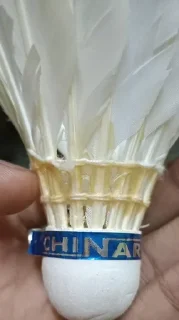 Telegram sticker 🌟 Dvynh :: @fStikBot