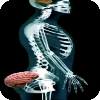 Telegram sticker 👍 brainrot