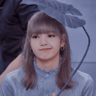 Telegram sticker 🙂 Blackpink