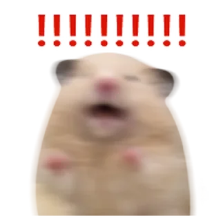 Video sticker ⭐ 어쩔햄스터 @moe_sticker_bot