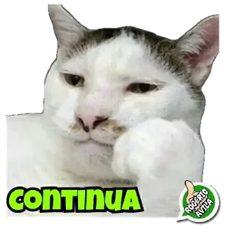Telegram sticker 🤔 AMIGOS .COM