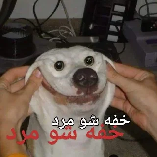 Telegram sticker 🥰 @Cartel_safehouse | وخی کیروم فلترشکن