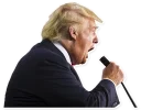 Telegram sticker 🎤 Donald Trump