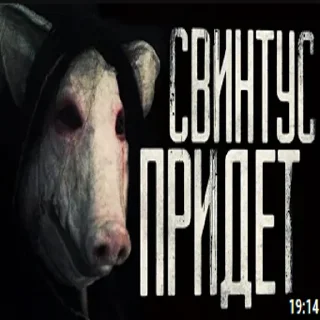 Sticker 🐷 страшилки by @kirich_yo