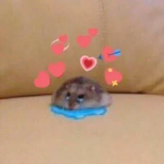 Telegram sticker 🥺 a mimir.