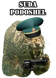 Video sticker 😡 Злой таможенник