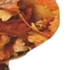 Video sticker 🎃 ㅤᜊ 𝑎𝗎�...