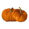 Video sticker 🎃 ㅤᜊ 𝑎𝗎�...
