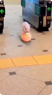 Video sticker 🐽 @stickeri_tg 💋<-- стикеры тут