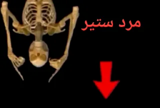 Video sticker 😳 @wkvek بالا ال پایین😳