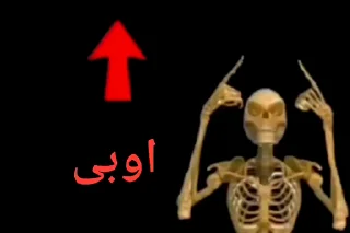 Video sticker 😳 @wkvek بالا ال پایین😳