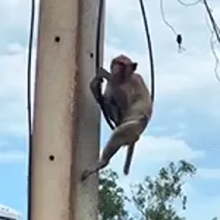 Video sticker 🤔 aaaaaaa