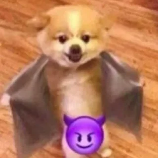 Telegram sticker 😈 Dogs 🐶 @xkysluv