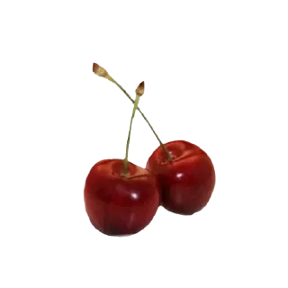 Video sticker 🍒 @round_stickers