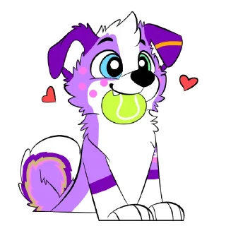 Video sticker 🎾 Aurora Collie