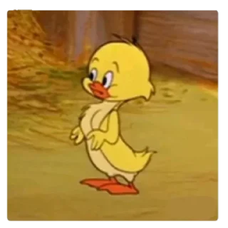 Video sticker 😳 arwa✨