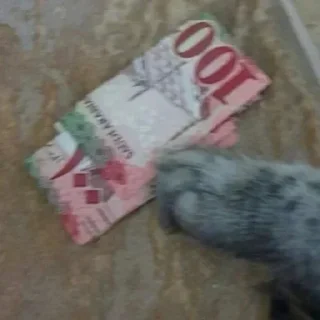 Телеграм стикер 💸 arwa✨