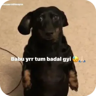 Telegram sticker 🥲 ɴ֟፝͠ᴏʙɪᴛꫝㅤꪇ༊