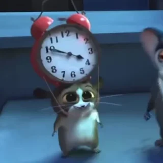 Video sticker 🌟 @round_stickers