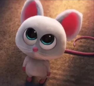 Video sticker 🌟 @round_stickers