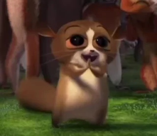 Video sticker 🌟 @round_stickers