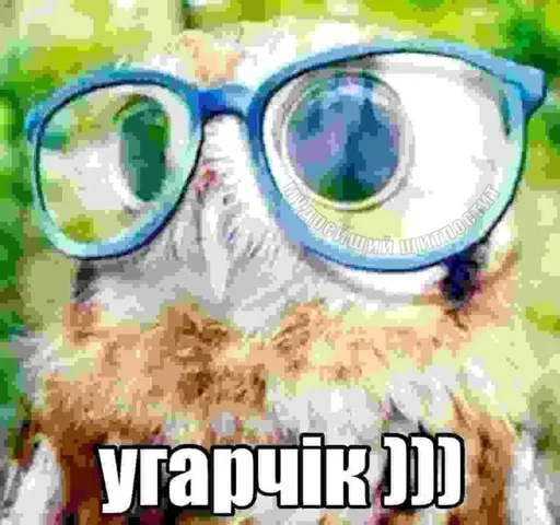 Telegram sticker 🤩 хв