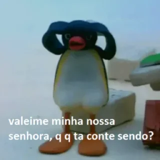 Telegram sticker 🤨 Pingu @lbrabo