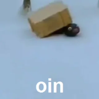 Video sticker 😄 Pingu @lbrabo