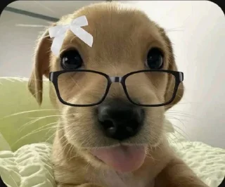 Telegram sticker 🌟 Tay da Maria :: @fStikBot