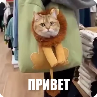 Sticker 👋 Больше стиков тут: @stikery4