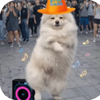 Video sticker 🥱 whaletfrens