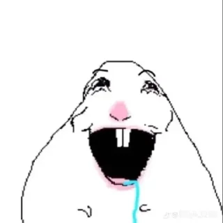 Telegram sticker 😄 хомяк