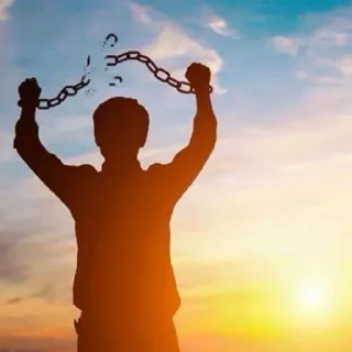 Telegram sticker 🍎 What about it cunt ?  @NYXIII