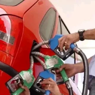 Video sticker 🍎 What about it cunt ?  @NYXIII