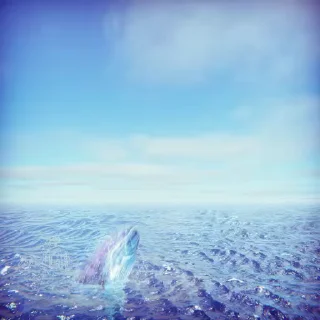 Video sticker 🔥 Anchor