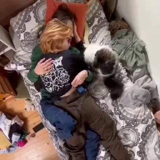 Video sticker 🫂 @SGif0 👈🏻 بقیه استیکرها تو چنل