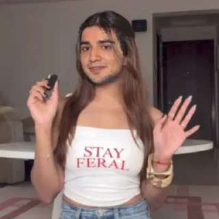 Sticker ✔️ Goku pack