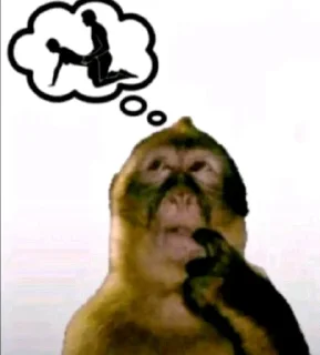 Telegram sticker ✔️ Goku pack