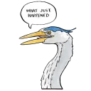 Video sticker ❓ False Knees