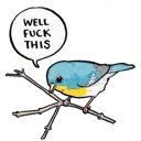 Video sticker 😠 False Knees