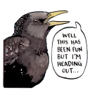 Telegram sticker ✋️ False Knees