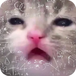 Video sticker 👄 @pikmimazul