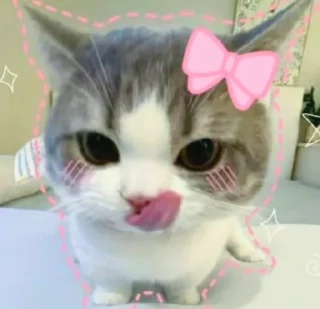 Sticker 🤩 @gobhieX billuzz🥹 @echowrites